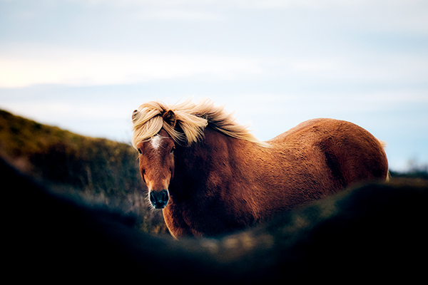 shutterstock_2294102095.jpg